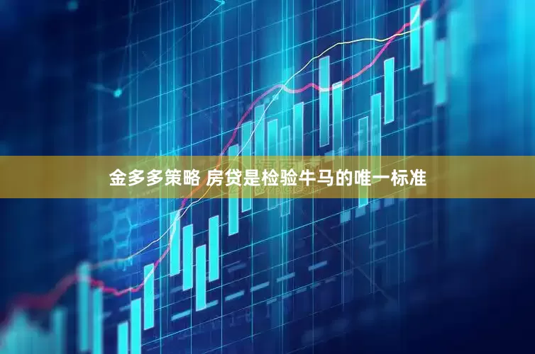 金多多策略 房贷是检验牛马的唯一标准