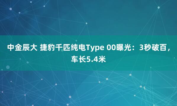 中金辰大 捷豹千匹纯电Type 00曝光：3秒破百，车长5.4米