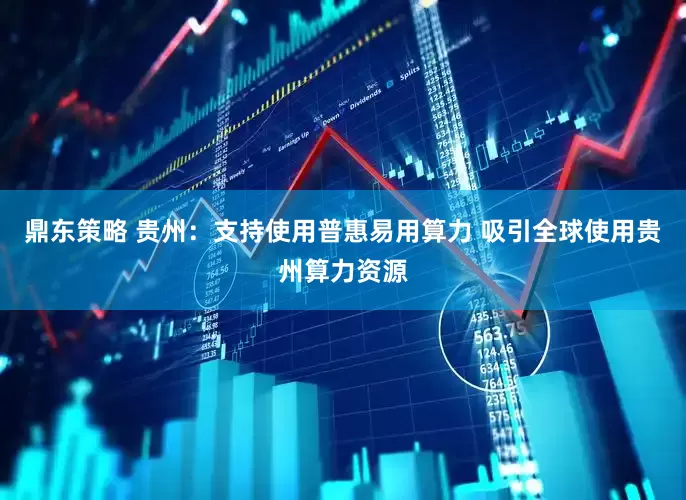 鼎东策略 贵州：支持使用普惠易用算力 吸引全球使用贵州算力资源